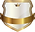 Security Shield